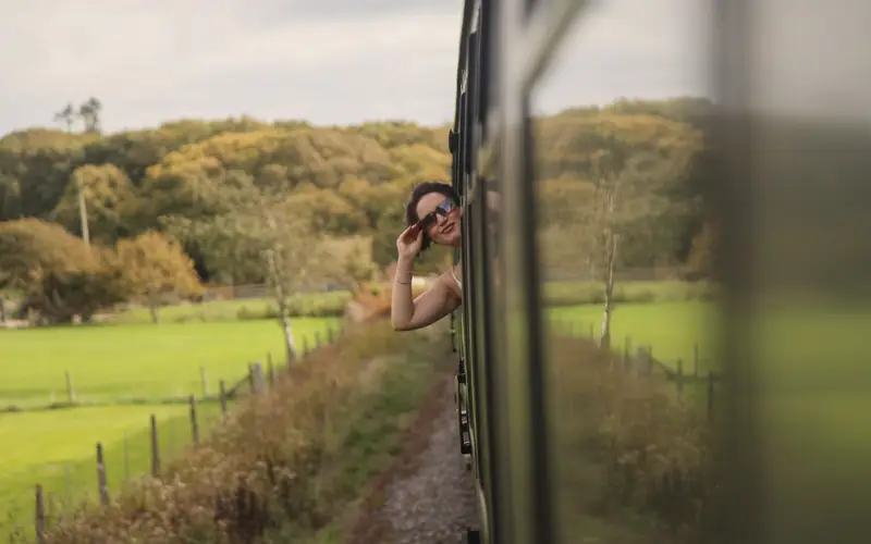 Uitzicht vanuit een trein op het platteland