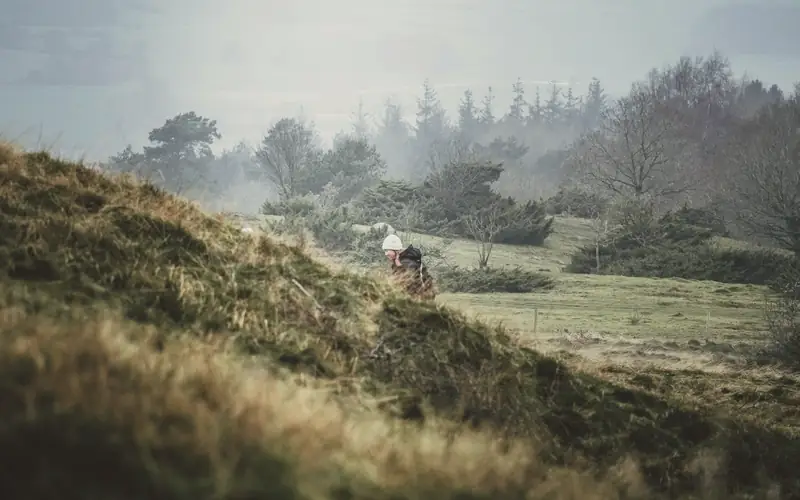 Heuvels in de mist