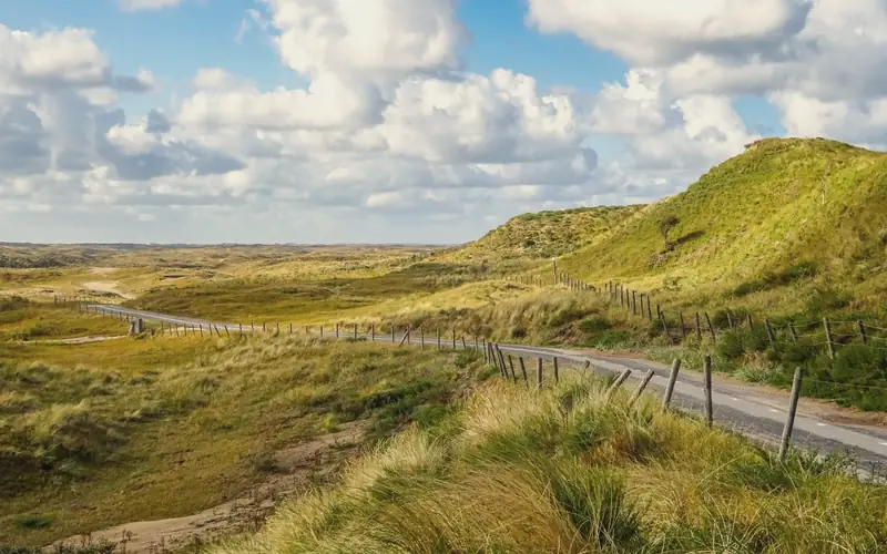 Duinlandschap met een slingerend pad
