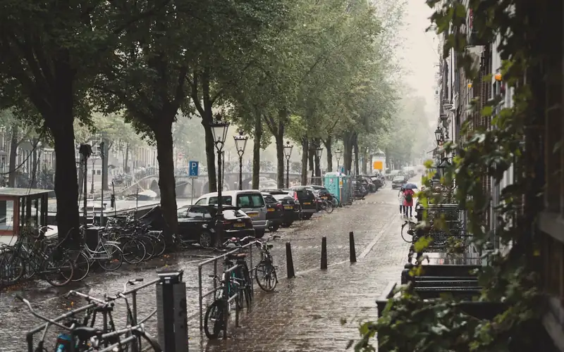 Regenachtige straat met bomen